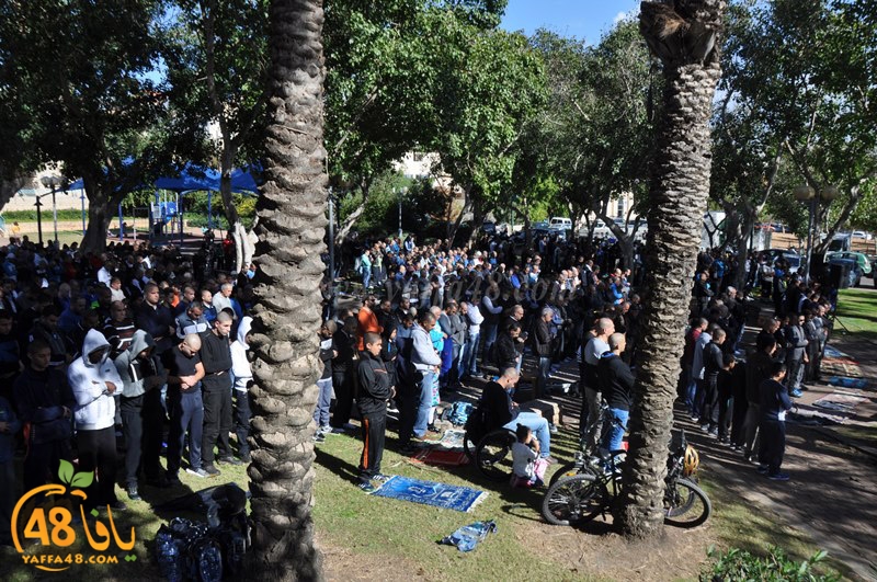 salah jom3a yaffa (45).JPG